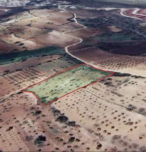 Kirlialıcı Da 7100 M2 Tek Tapu Fıstıklık 7