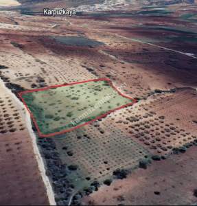 Kirlialıcı Da 7100 M2 Tek Tapu Fıstıklık 8