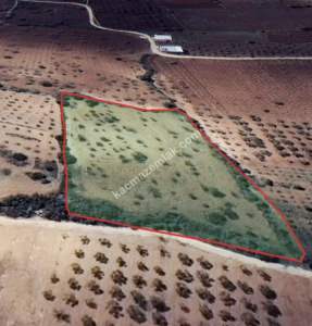 Kirlialıcı Da 7100 M2 Tek Tapu Fıstıklık 14