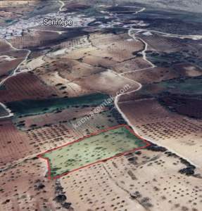 Kirlialıcı Da 7100 M2 Tek Tapu Fıstıklık 13