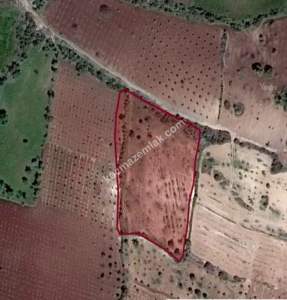 Kirlialıcı Da 7100 M2 Tek Tapu Fıstıklık 2