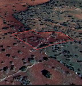 Şehitkamil Yığınlı Da 2.510 M² Tek Tapu Fıstıklık 10