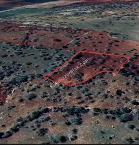 Şehitkamil Yığınlı Da 2.510 M² Tek Tapu Fıstıklık 13