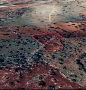 Şehitkamil Yığınlı Da 2.510 M² Tek Tapu Fıstıklık 14