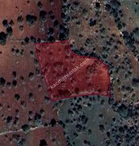 Şehitkamil Yığınlı Da 2.510 M² Tek Tapu Fıstıklık 2