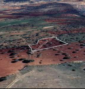 Şehitkamil Yığınlı Da 2.510 M² Tek Tapu Fıstıklık 20