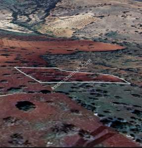 Şehitkamil Yığınlı Da 2.510 M² Tek Tapu Fıstıklık 19