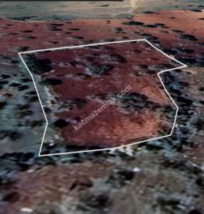 Şehitkamil Yığınlı Da 2.510 M² Tek Tapu Fıstıklık 15