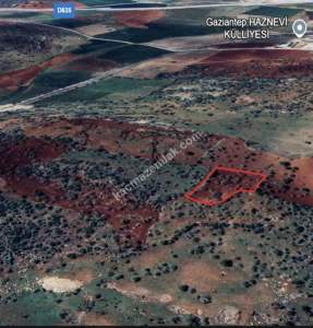 Şehitkamil Yığınlı Da 2.510 M² Tek Tapu Fıstıklık 12