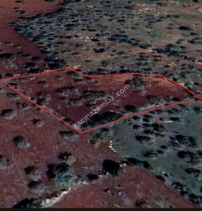 Şehitkamil Yığınlı Da 2.510 M² Tek Tapu Fıstıklık 8