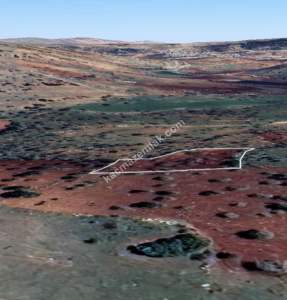 Şehitkamil Yığınlı Da 2.510 M² Tek Tapu Fıstıklık 21