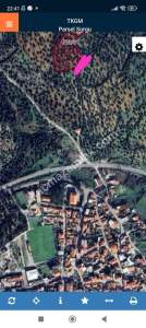 İzmir Bergama Zeytindağ'da Satılık Zeytinli Tarla 19