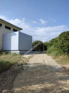 İzmir Bergama Zeytindağ'da Satılık Zeytinli Tarla 16