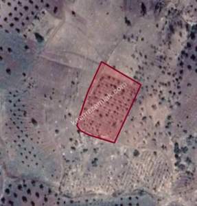 Musabeyli Madenyolunda 3450 M2 Tek Tapu Ucuz Tarla 10