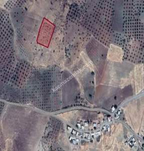 Musabeyli Madenyolunda 3450 M2 Tek Tapu Ucuz Tarla 1