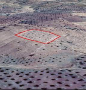 Musabeyli Madenyolunda 3450 M2 Tek Tapu Ucuz Tarla 15