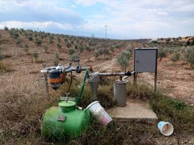 26 Dönüm Zeytinlik,Kaçmaz 28