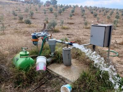 26 Dönüm Zeytinlik,Kaçmaz 2