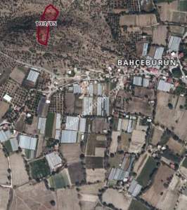 Bahçeburun Köyünde Satılık Zeytinlik Arsa 1