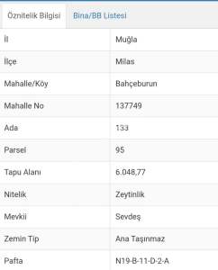 Bahçeburun Köyünde Satılık Zeytinlik Arsa 2