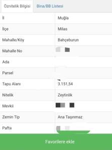 Milas'ta Satılık Zeytinlik Tarla 2