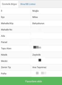 Milas'ta Satılık Zeytinlik Tarla 2