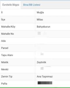 Milas'ta Satılık Zeytinlik Tarla 3