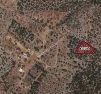 Kalınağıl Köyünde Satılık Zeytinlik Arsa 1