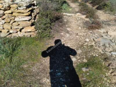 Bodrum Havaalanı Dibinde Yatırımlık Zeytin Tarlası 9