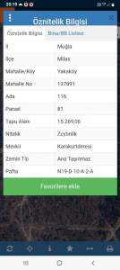 Bodrum Havaalanı Dibinde Yatırımlık Zeytin Tarlası 10