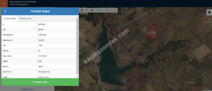 Tekirdağ Şarköy Camiikebir Mahallesi Satılık Zeytinlik. 6