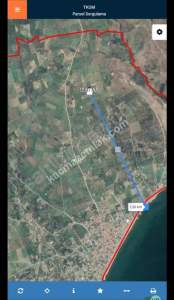 Şarköy Eriklicede Deniz Manzaralı Verimli Zeytinlik 8