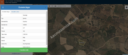 Tekirdağ Şarköy Gaziköy De Satılık Zeytinlik 12
