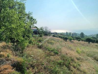 Tekirdağ Şarköy Güzelköy Satılık Bağ Evi Olan Zeytinlik 4