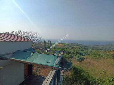 Tekirdağ Şarköy Güzelköy Satılık Bağ Evi Olan Zeytinlik 3