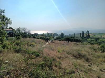 Tekirdağ Şarköy Güzelköy Satılık Bağ Evi Olan Zeytinlik 7