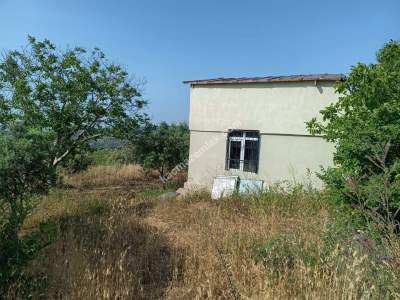 Tekirdağ Şarköy Güzelköy Satılık Bağ Evi Olan Zeytinlik 2