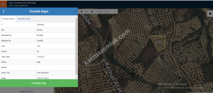 Tekirdağ Şarköy Müreftede Satılık Zeytinlik 23