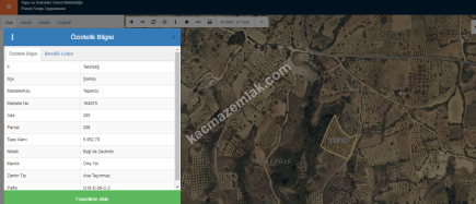 Tekirdağ Şarköy Tepeköy Mahallesi Satılık Zeytinlik Bağ 21