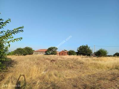 Tekirdağ Şarköy Tepeköy Mahallesi Satılık Zeytinlik Bağ 8