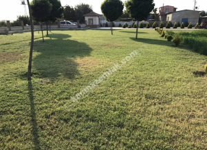 İzmir Tire Eskioba'Da Satılık 500 Başlık Besi Çiftliği