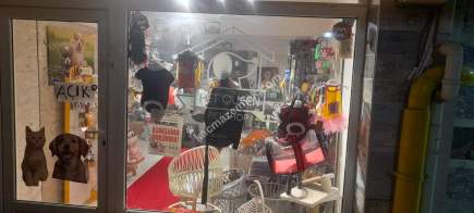 Kaçmaz Emlak'tan İzmit'te Devren Satılık Pet Shop 26