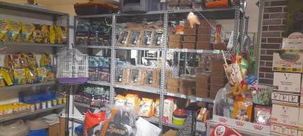 Kaçmaz Emlak'tan İzmit'te Devren Satılık Pet Shop 8