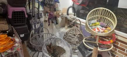 Kaçmaz Emlak'tan İzmit'te Devren Satılık Pet Shop 22