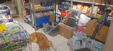 Kaçmaz Emlak'tan İzmit'te Devren Satılık Pet Shop 3