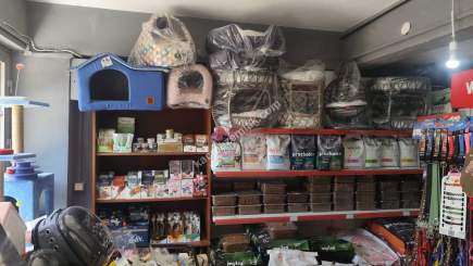 Mımar Sınan Mh Devren Satılık Dukkan 11