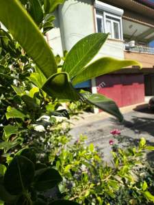 Antalya Manavgat Yavrudoğan Köyü Kiralık Depo 4