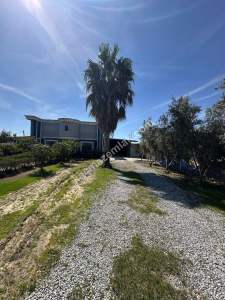 Manavgat Ilıca'da D-400'E Sıfır Kiralık İşyeri 1