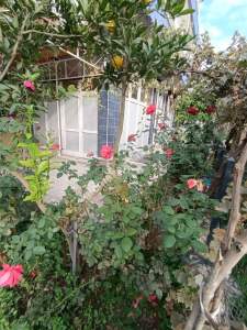 Aydın Yedieylül Mah Wc İçinde Köşe Başı Dükkan Kiralık 31