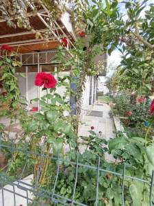 Aydın Yedieylül Mah Wc İçinde Köşe Başı Dükkan Kiralık 34